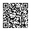 To view this 2010 Volkswagen Routan Shelbyville TN from Green's Automotive, please scan this QR code with your smartphone or tablet to view the mobile version of this page.