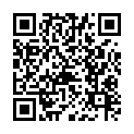 To view this 2011 BMW 3-Series Shelbyville TN from Green's Automotive, please scan this QR code with your smartphone or tablet to view the mobile version of this page.