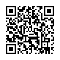 To view this 2008 Dodge Durango Shelbyville TN from Green's Automotive, please scan this QR code with your smartphone or tablet to view the mobile version of this page.