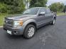 2011 Gray /Gray Ford F-150 Platinum SuperCrew 5.5-ft. Bed 4WD (1FTFW1ET5BF) with an 3.5L V6 engine, 4-Speed Automatic transmission, located at 1221 Madison St., Shelbyville, TN, 37160, (931) 680-9439, 0.000000, 0.000000 - Photo#0
