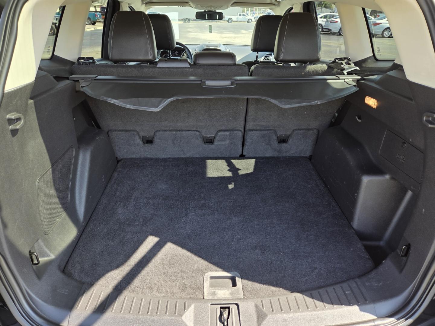 2013 BLACK /Black Ford Escape Titanium FWD (1FMCU0J95DU) with an 2.0L L4 DOHC 16V engine, 6-Speed Automatic transmission, located at 1221 Madison St., Shelbyville, TN, 37160, (931) 680-9439, 0.000000, 0.000000 - Photo#3
