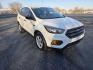 2019 WHITE /Gray Ford Escape S FWD (1FMCU0F75KU) with an 2.5L L4 DOHC 16V engine, 6A transmission, located at 1221 Madison St., Shelbyville, TN, 37160, (931) 680-9439, 0.000000, 0.000000 - Photo#1