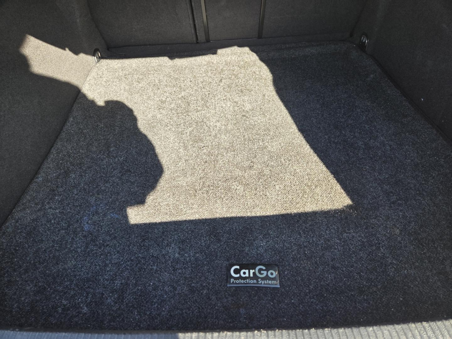 2013 WHITE /Beige Volkswagen CC Sport Plus (WVWBP7AN0DE) with an 2.0L L4 DOHC 16V TURBO engine, 6-Speed Automatic transmission, located at 1221 Madison St., Shelbyville, TN, 37160, (931) 680-9439, 0.000000, 0.000000 - Photo#3