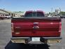 2014 Red /Beige Ford F-150 Lariat SuperCrew 5.5-ft. Bed 4WD (1FTFW1ET3EF) with an 3.5L V6 TURBO engine, 6-Speed Automatic transmission, located at 1221 Madison St., Shelbyville, TN, 37160, (931) 680-9439, 0.000000, 0.000000 - Photo#4