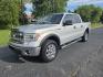 2014 Silver /Gray Ford F-150 XLT SuperCrew 5.5-ft. Bed 4WD (1FTFW1EF0EK) with an 5.0L V8 engine, 6-Speed Automatic transmission, located at 1221 Madison St., Shelbyville, TN, 37160, (931) 680-9439, 0.000000, 0.000000 - Photo#0