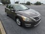 2013 Tan /Beige Nissan Altima 2.5 SV (1N4AL3AP0DN) with an 2.5L L4 DOHC 16V engine, CVT transmission, located at 1221 Madison St., Shelbyville, TN, 37160, (931) 680-9439, 0.000000, 0.000000- Photo#1